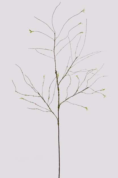 51" Twig Branch Natural