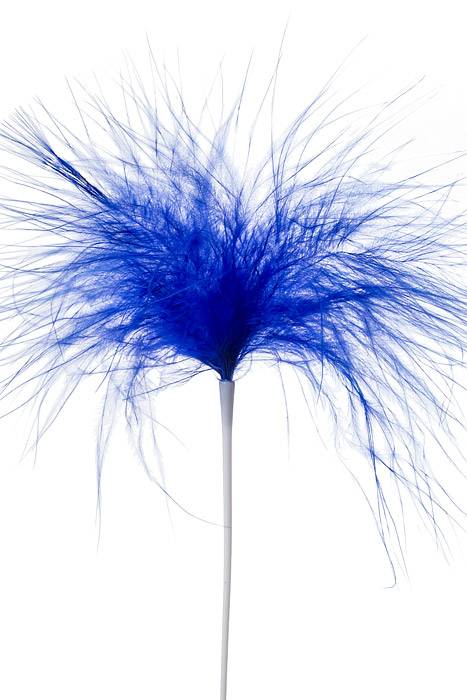 7" Feather Picks Royal Blue Pkg/12