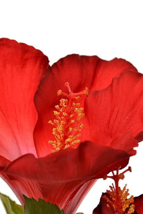 26" Silk Hibiscus Spray Red