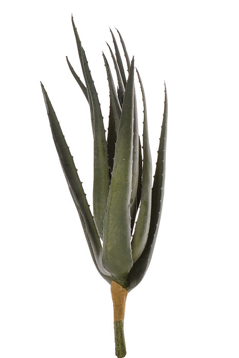 17" Soft Touch Aloe Green