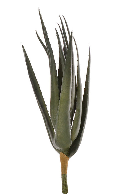 17" Soft Touch Aloe Green