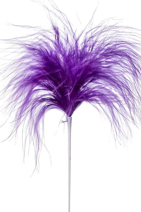 7" Feather Picks Purple Pkg/12