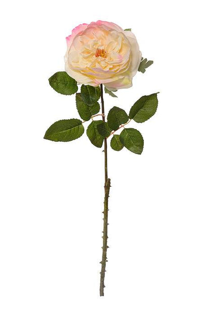 20" Silk English Rose Spray Beige/Pink