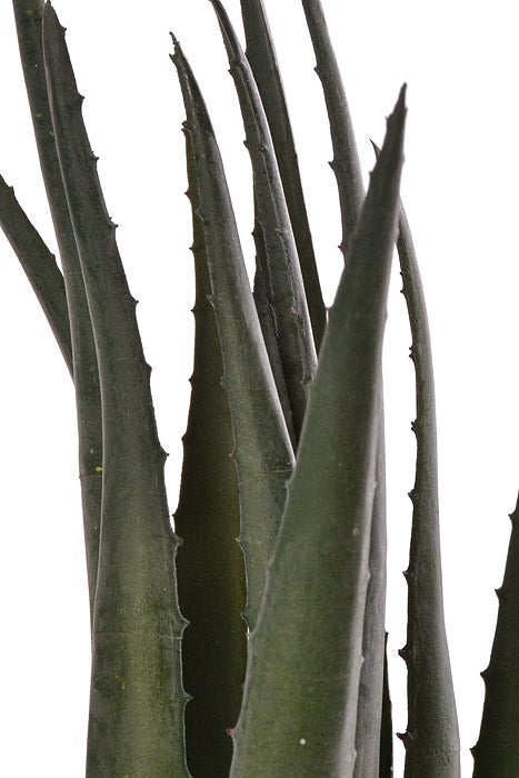 17" Soft Touch Aloe Green