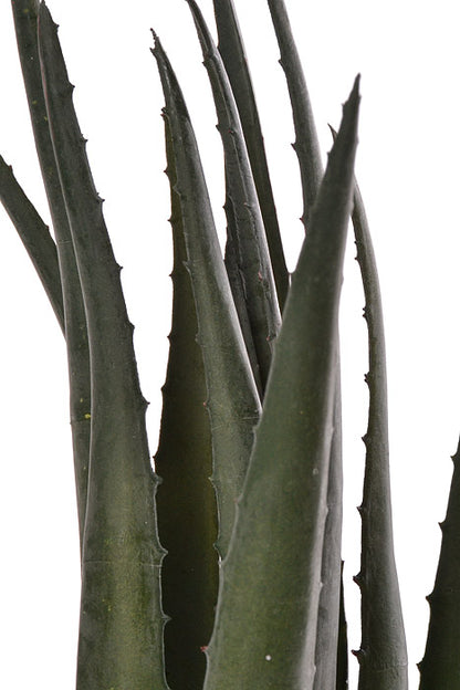 17" Soft Touch Aloe Green