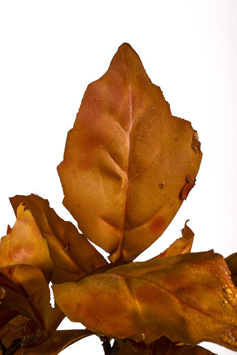 32" Silk Peony Leaf Spray Burgundy