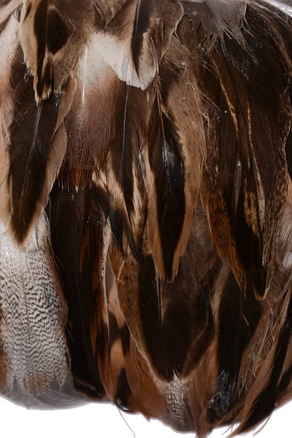 7" Natural Feather Pumpkin Brown