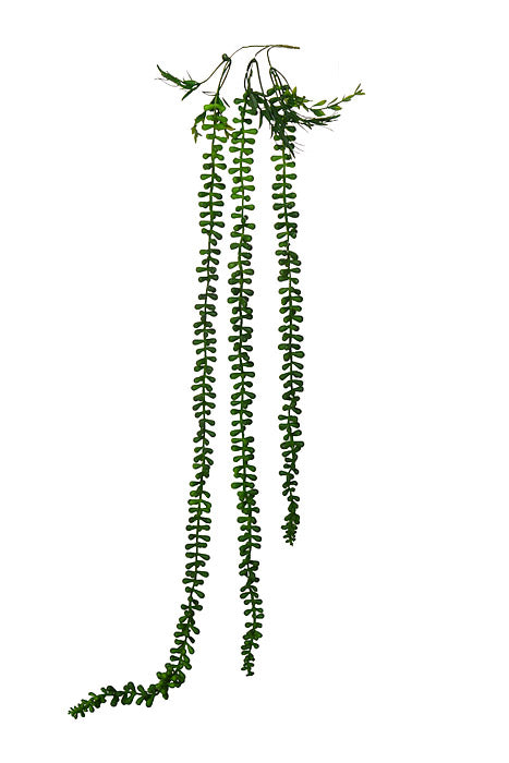 37.5" Bead Succulent Hanging Spray Green