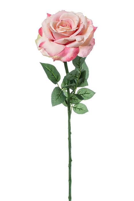 26" Diana Rose Spray Pink