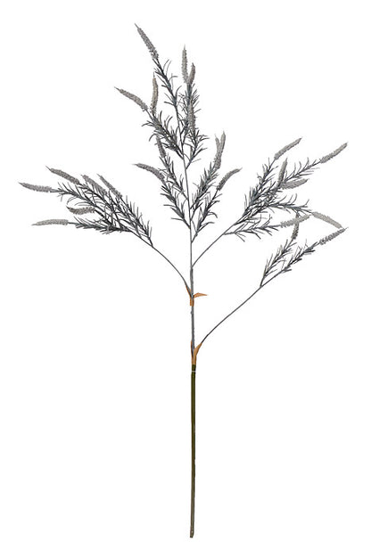 38" Setaria Bush Light Blue