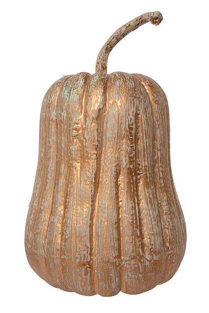 15.5" Hybrid Pumpkin Cream/Gold