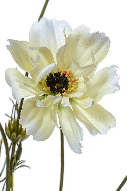 32" Silk Cosmos Spray Cream