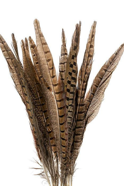 10-12" Pheasant Feather Natural Pkg/12