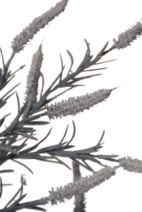 38" Setaria Bush Light Blue