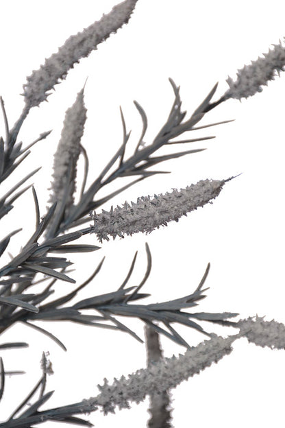 38" Setaria Bush Light Blue