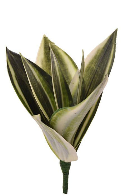 8" Mini Bromeliad Plant Variegated Green