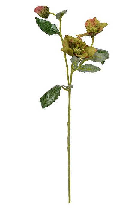 22" Helleborus Spray Sage/burgundy