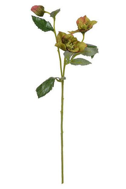 22" Helleborus Spray Sage/burgundy