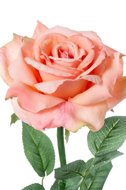 26" Diana Rose Spray Salmon