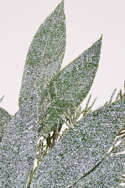 21" Iced Mixed Cypress Olive Leaves Bush Green