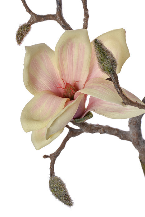 41" Silk Magnolia Spray Light Pink