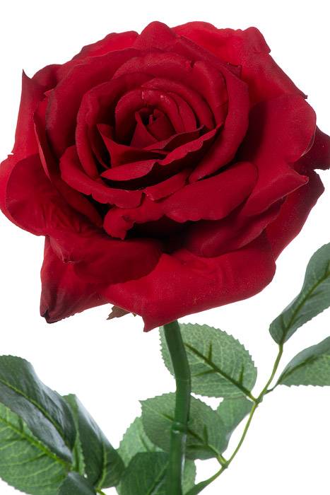 26" Silk Diana Rose Spray Red