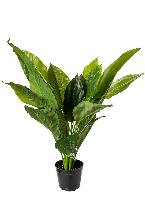 34" Ptd. Pu Nat Touch Spathiphylum Green