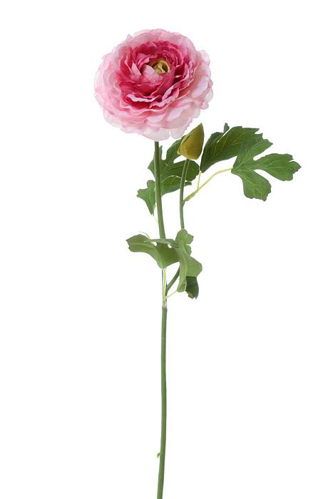 21" Silk Ranunculus Spray Cerise/pink