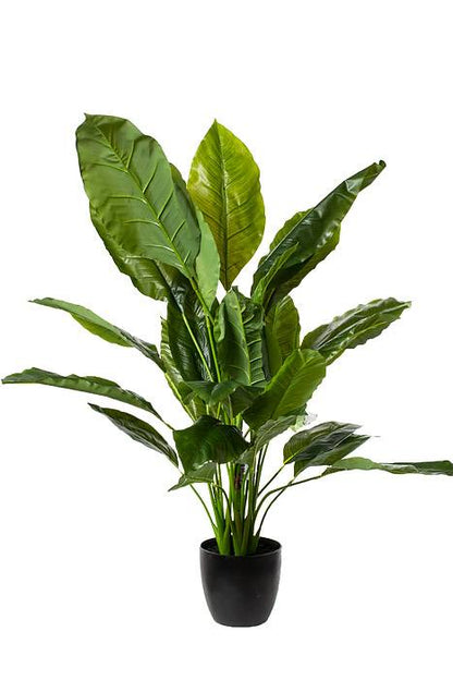 46" Ptd. Pu Nat Touch Spathiphylum Green