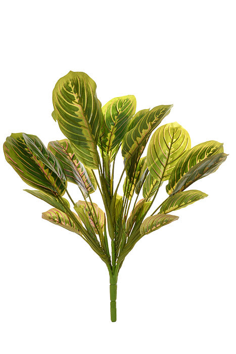 19" Round Peacock Plant Green/Mauve