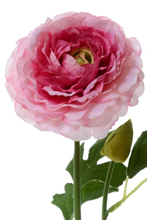 21&quot; Silk Ranunculus Spray Cerise/pink