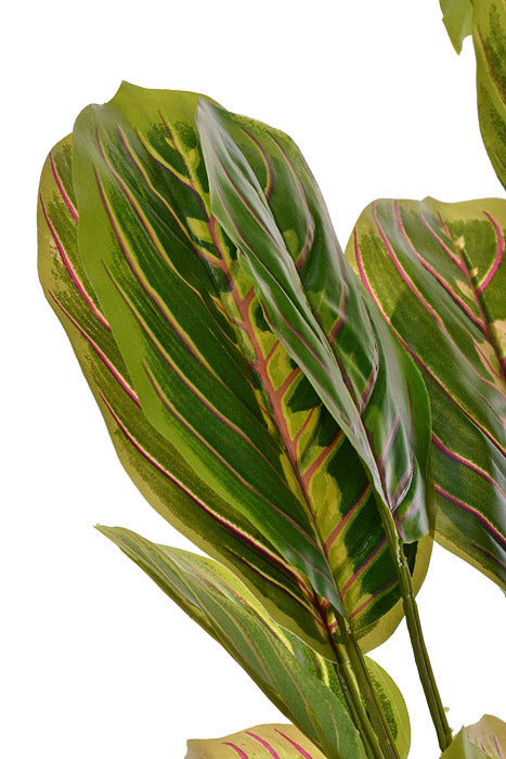 19" Round Peacock Plant Green/Mauve