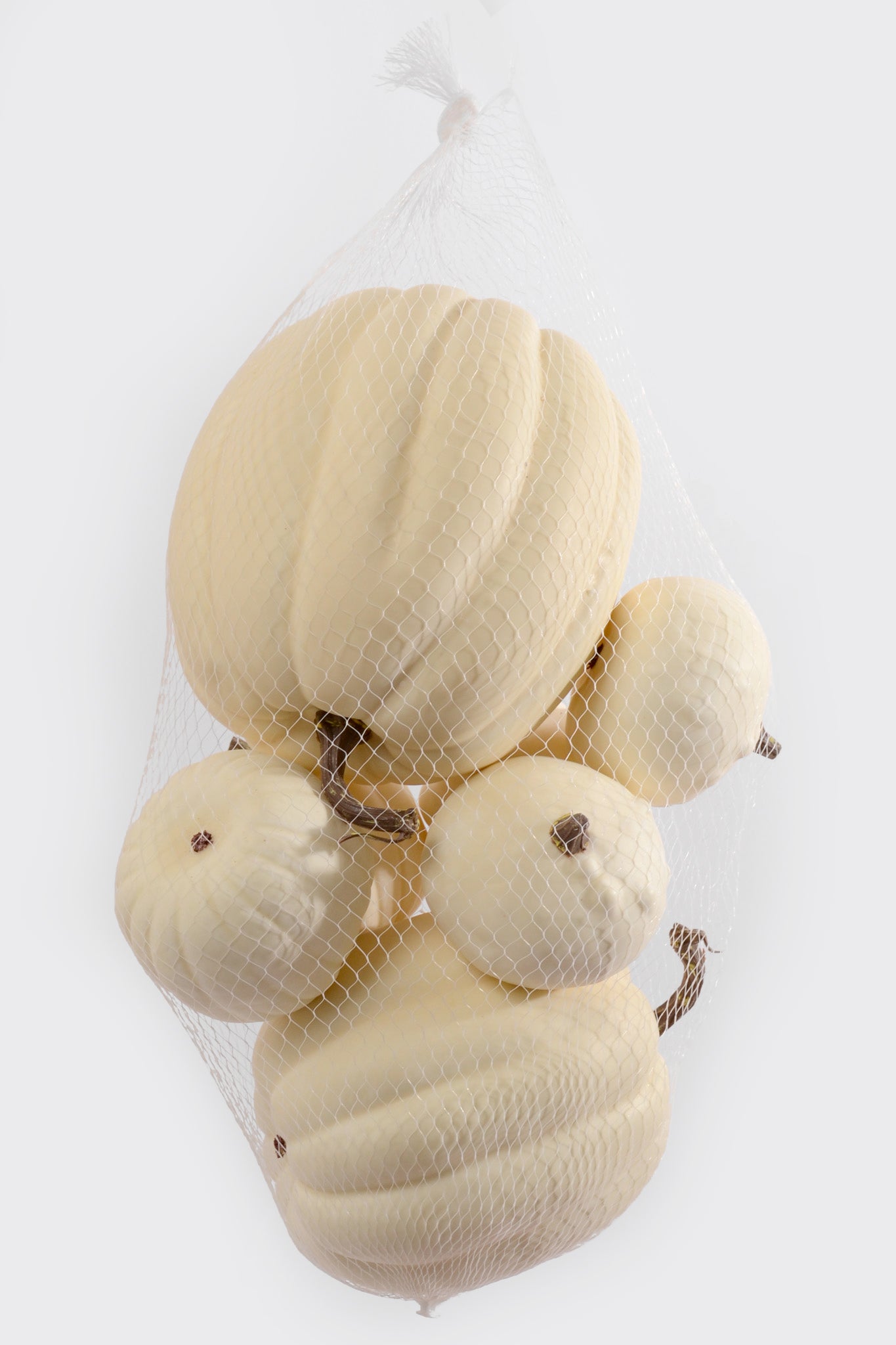 Mixed Pumpkin In Net White Pkg/7