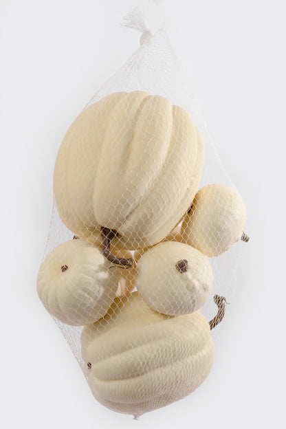 Mixed Pumpkin In Net White Pkg/7