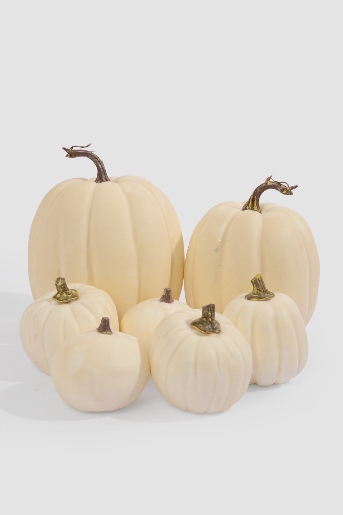 Mixed Pumpkin In Net White Pkg/7