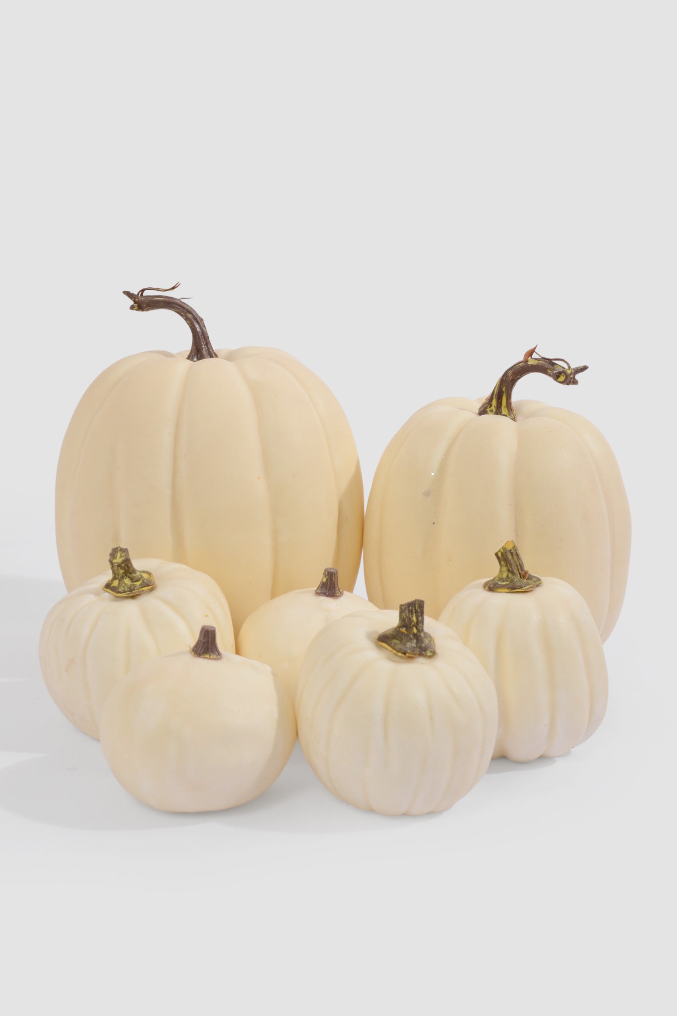 Mixed Pumpkin In Net White Pkg/7