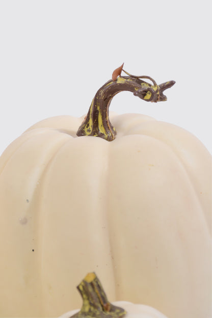 Mixed Pumpkin In Net White Pkg/7