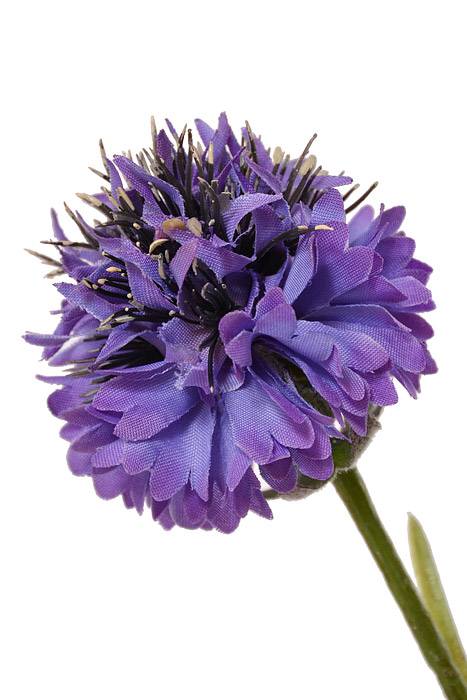 24&quot; Silk Cornflower Spray (Lavender)