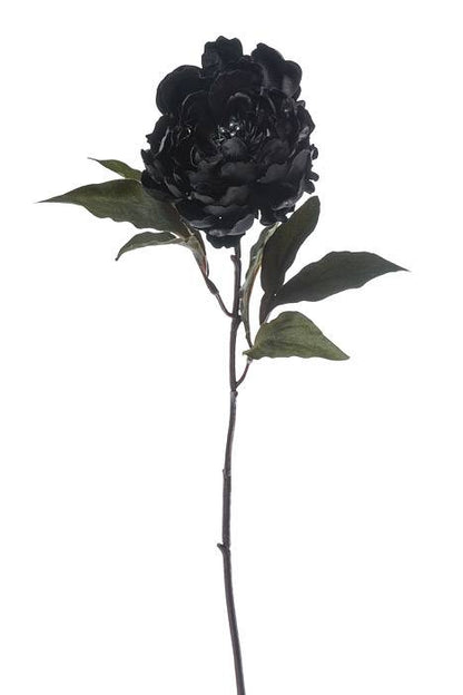 18.5" Silk Peony Spray Black