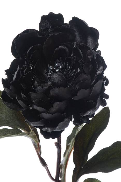 18.5" Silk Peony Spray Black