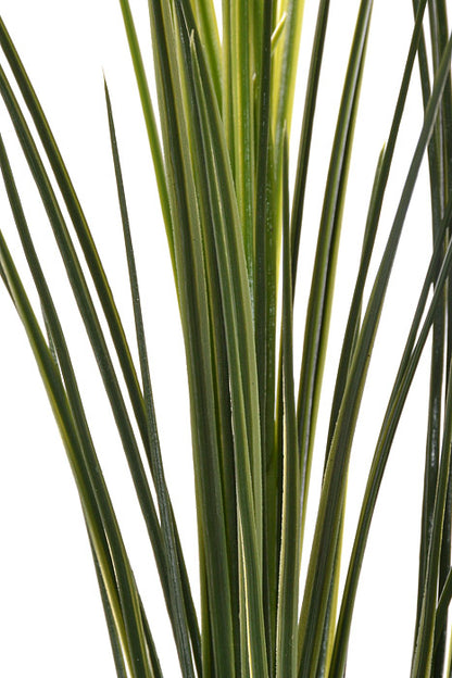 32" Grass Bush Green