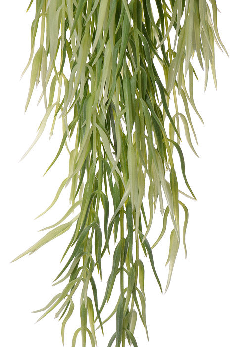 26" Cactus Hanging Bush Green