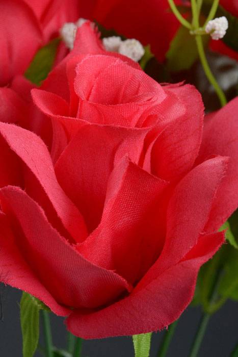 16" Printing Rose Bush American Beauty