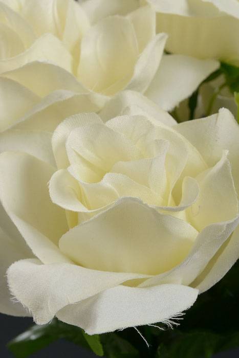 16" Printing Rose Bush Cream