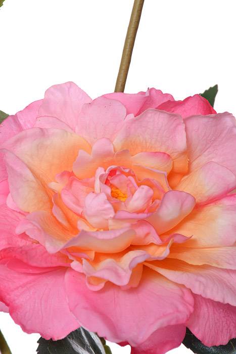 35" Silk Camellia Spray Pink/Two Tone