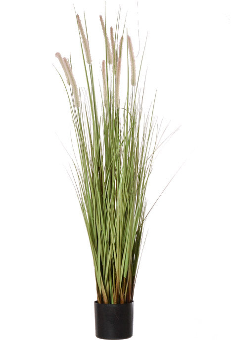 48" Dog Tail Grass Stems Potted Green/Brown