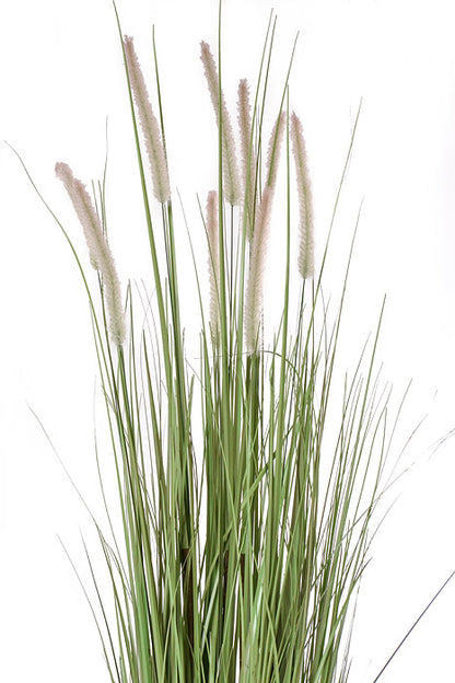 48" Dog Tail Grass Stems Potted Green/Brown