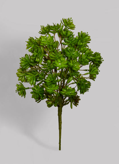 13.5" Artificial Dwarf Aeonium Bush Green