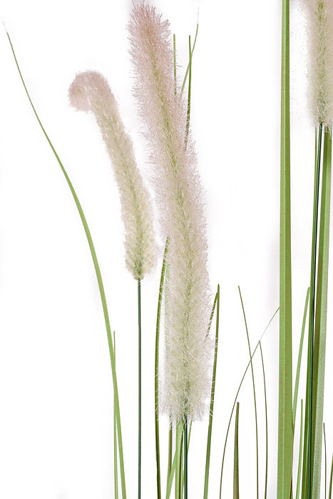 48" Dog Tail Grass Stems Potted Green/Brown