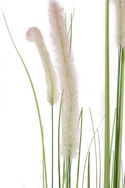 48" Dog Tail Grass Stems Potted Green/Brown